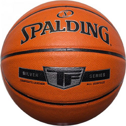Spalding NBA Silver In/Out 76-859Z1