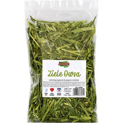 ALEGIA Oat herb - treat for rodents and rabbits - 80g