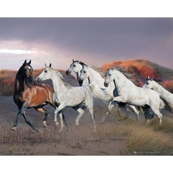 POSTER HORSE RUNNING (40.6X50.8CM)
