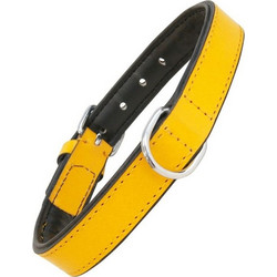 Gloria Pets Padded Δερμάτινο Κολάρο Σκύλου Κίτρινο 2x40cm