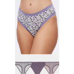 Minerva Βαμβακερά Γυναικεία Slip με Δαντέλα 3Pack 90-82367-300