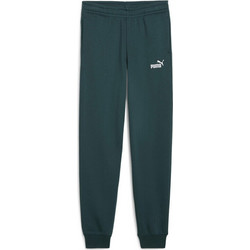 Puma Παιδικό Παντελόνι Φόρμας Κυπαρισσί 684912-75
