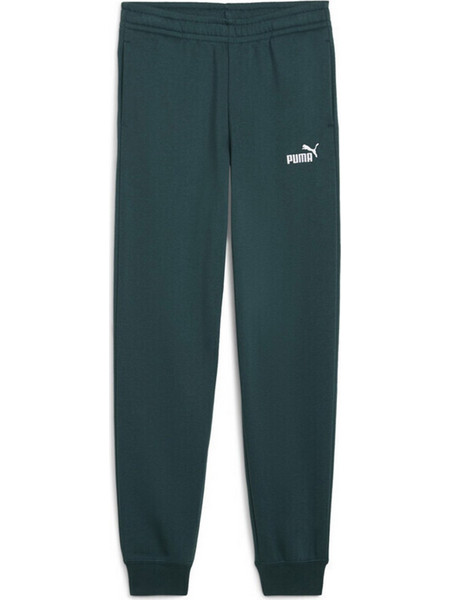 Puma Παιδικό Παντελόνι Φόρμας Κυπαρισσί 684912-75