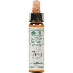 Ainsworths Dr.Bach Holly Ανθοΐαμα σε Σταγόνες για Ζήλια 10ml