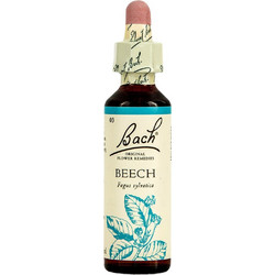 Power Health Bach Beech Ανθοΐαμα σε Σταγόνες για Υπεροπτική Συμπεριφορά 20ml