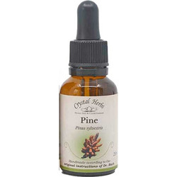 Crystal Herbs Pine Ανθοΐαμα σε Σταγόνες για Αυτοεκτίμηση 25ml