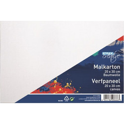 Stylex Καμβάς Ζωγραφικής Καρτολίνο Λευκός 20x30cm