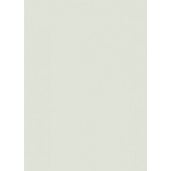 Canson Colorline Χαρτόνι Κανσόν Γκρι 50x70cm 105741141