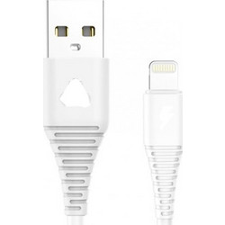 Data cable Powertech Lightning to USB 2.0 για iPhone 5/5s, 6/6S, 6/6S Plus, SE, 7/7 Plus, iPad Air/Mini 1m White