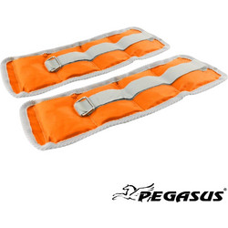 Βάρη Άκρων Pegasus 2x0.5kg Β-2112-05