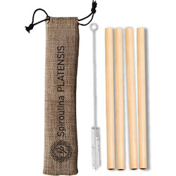 4 Bamboo καλαμάκια + καθαριστικό βουρτσάκι