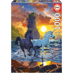 Puzzle Educa Μονόκεροι Στην Ακτή 1000 Κομμάτια