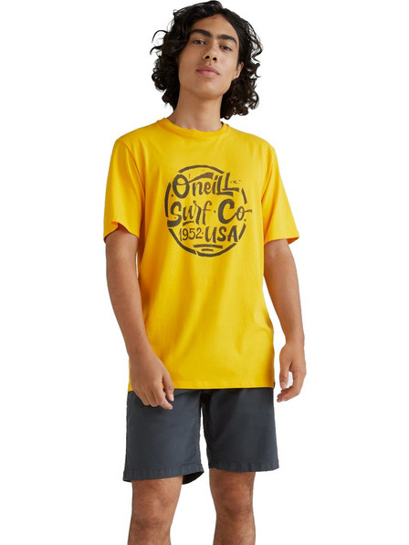 O Neill Surf T-Shirt 2850000-12010 Κίτρινο