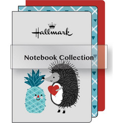 Σημειωματάριο Pineapple (3 σετ Α5) 333-05005 Hallmark