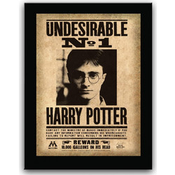 The Noble Collection Undesirable No. 1 Sign NNXT0023