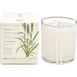 Αρωματικό Κερί Plant The Box Με Σπόρους Fresh Cut Grass 283gr Kobo Κερί Σόγιας