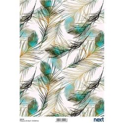 Next ριζόχαρτο peacock feather 21x29εκ. (ΠΑΚ3)