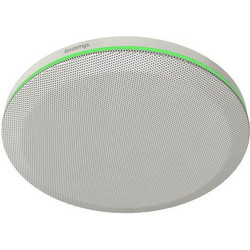 Parle TTM-XEX (White)