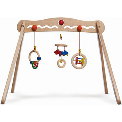 Nic Baby Trainer
