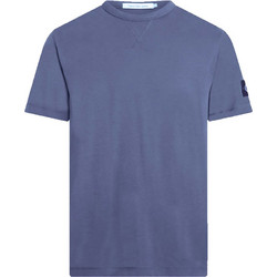 Calvin Klein Ανδρική κοντομάνικη μπλούζα Cotton Badge T-shirt J30J323484-PCP