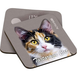 Action Lab Souver Tartarouga Cat 2pcs