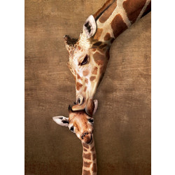 Puzzle Eurographics Giraffe Mother's Kiss 1000 Κομμάτια