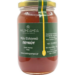 ΜΕΛΙ ΠΕΥΚΟΥ 450gr