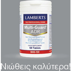 Lamberts Multi Guard Control 120 Ταμπλέτες