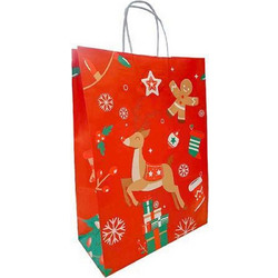 Χάρτινη Τσάντα Next Y22χ18χ8εκ Christmas Deer