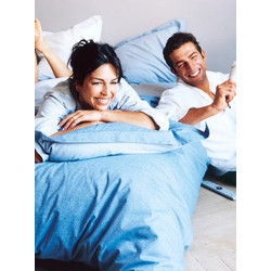 Vesta Πάπλωμα Μονό 160x230 Hollofil Eco 400