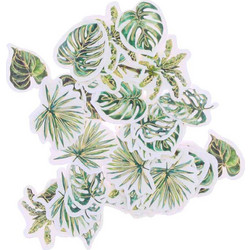 Beauty Home 100 κομφετί Coco Palm σε κρεμ, πράσινο και χρυσό