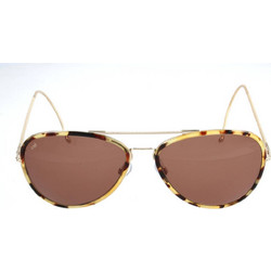 Web WE0069 54E Ανδρικά Γυαλιά Ηλίου Aviator Μεταλλικά Χρυσό Ταρταρούγα με Καφέ Φακό