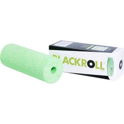 Blackroll Mini Foam Roller Green