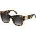 Just Cavalli SJC037-540781 Γυναικεία Γυαλιά Ηλίου Πεταλούδα Κοκάλινα Ταρταρούγα με Καφέ Φακό