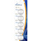 MediaRange CR2430 5τμχ MediaRange CR2430 5τμχ