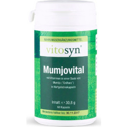 Metapharm Vitosyn Mumjovital 60 Κάψουλες
