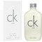 Calvin Klein CK One Eau de Toilette 100ml Calvin Klein CK One Eau de Toilette 100ml