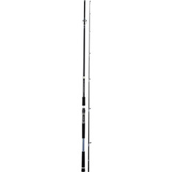 Ecooda Rapsodia ERLSJ Καλάμι Ψαρέματος για Spinning / Shore Jigging / Light Jigging Carbon Δίσπαστο 2.9m 20-50gr