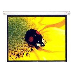 Vega Classic Manual 220 Οθόνη Προβολής Projector Τοίχου / Οροφής 1:1 220x220cm / 125"