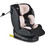 Cangaroo Castor Κάθισμα Αυτοκινήτου i-Size 0-36kg ISOfix Pink