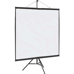 vidaXL Οθόνη Προβολής Projector Δαπέδου 1:1 155x151cm / 81"