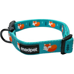 Madpet Fox Κολάρο Σκύλου Τιρκουάζ 2.5x41-66cm