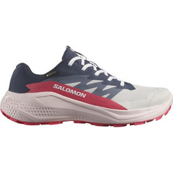 Salomon Alphaglide Γυναικεία Αθλητικά Παπούτσια Trail Running Μπεζ L47802322