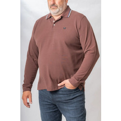 Wrangler Ανδρική Μπλούζα Polo Μακρυμάνικη Καφέ 112371506