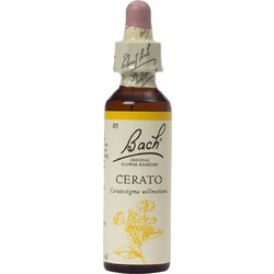 Power Health Bach Cerato Ανθοΐαμα σε Σταγόνες για Αυτοπεποίθηση 20ml