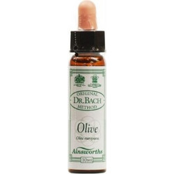 Ainsworths Dr.Bach Olive Ανθοΐαμα σε Σταγόνες για Ενέργεια 10ml