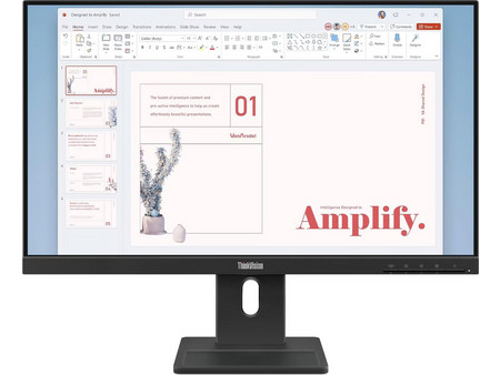 Lenovo ThinkVision E24-40 IPS Monitor 23.8" 1920x1080 FHD 100Hz 6ms