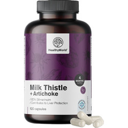 HealthyWorld Milk Thistle & Artichoke 120 Κάψουλες