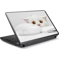 Γατούλα Αυτοκόλλητο για Laptop 20" 47x33cm