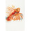Graccioza Lionfish Πετσέτα Θαλάσσης Λευκή 100x180cm 3419548-10001